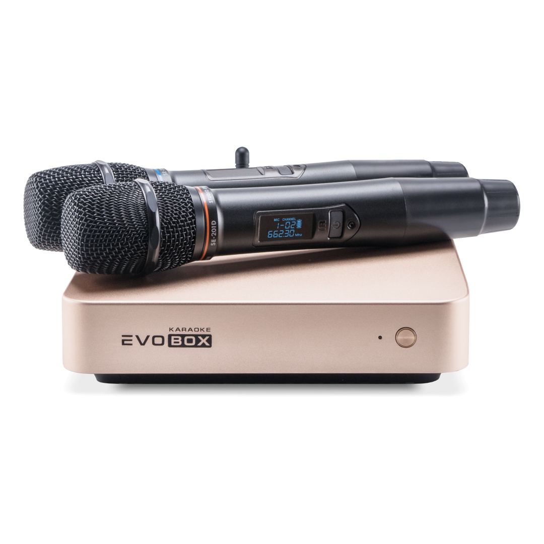 EVOBOX Classic караоке-система для дома в Глазове