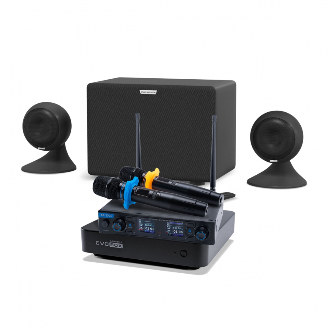 караоке-комплект EVOBOX + EvoSound Sphere 2.1 в Глазове