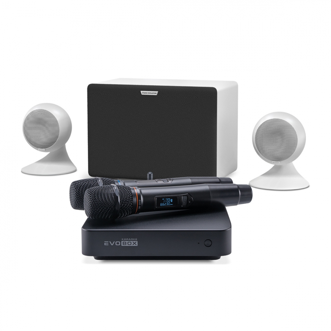караоке-комплект EVOBOX Classic + EvoSound Sphere 2.1 в Глазове