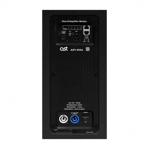 Активная акустическая система AST-310A в Глазове