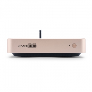 EVOBOX Plus караоке-система для дома в Глазове
