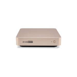 EVOBOX с микрофонами в Глазове